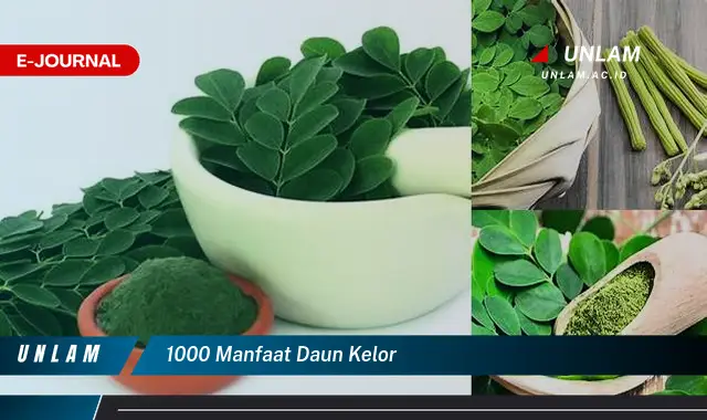 1000 manfaat daun kelor