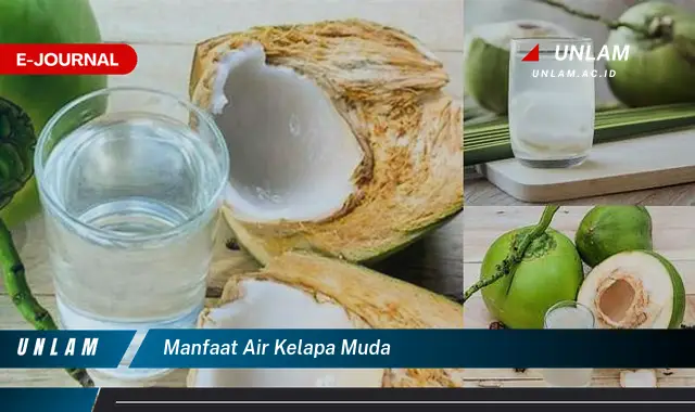 manfaat air kelapa muda