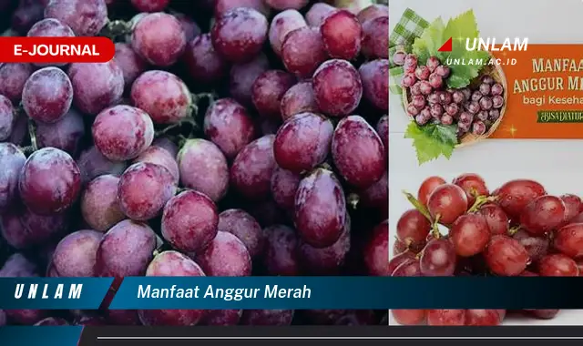 manfaat anggur merah