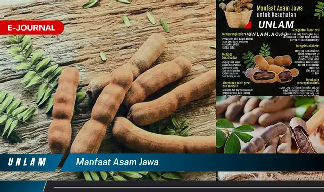 manfaat asam jawa