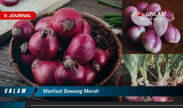 manfaat bawang merah