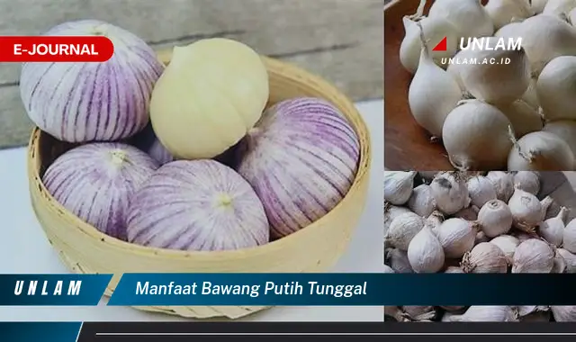 manfaat bawang putih tunggal