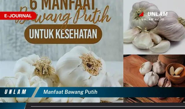 manfaat bawang putih