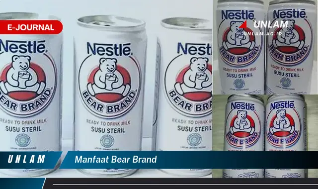 manfaat bear brand