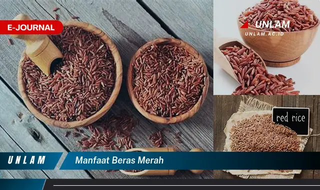 manfaat beras merah