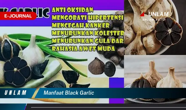 manfaat black garlic