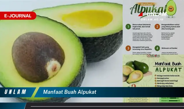 manfaat buah alpukat