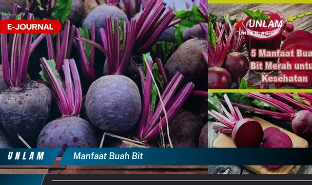 manfaat buah bit