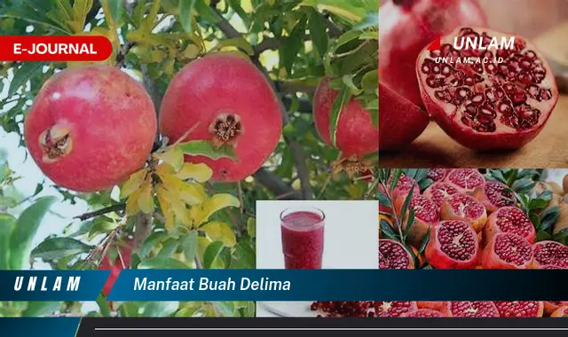 manfaat buah delima