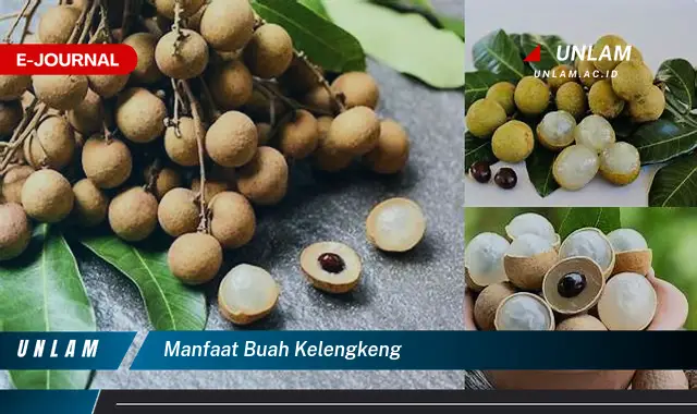 manfaat buah kelengkeng