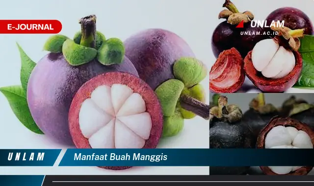 manfaat buah manggis