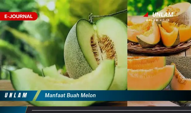 manfaat buah melon