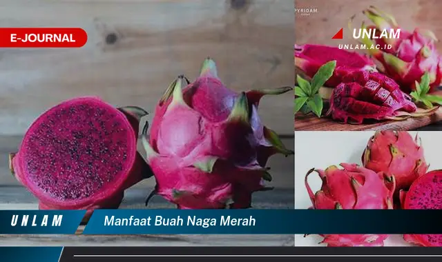 manfaat buah naga merah