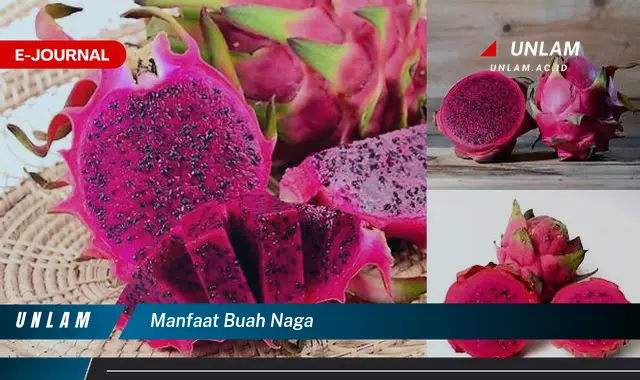 manfaat buah naga