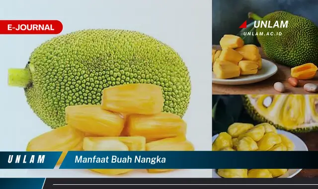 manfaat buah nangka