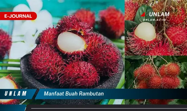 manfaat buah rambutan