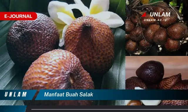 manfaat buah salak