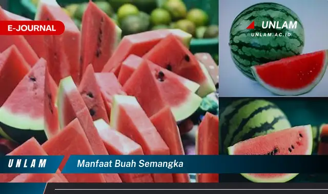 manfaat buah semangka