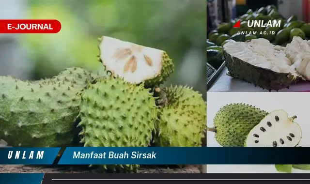 manfaat buah sirsak