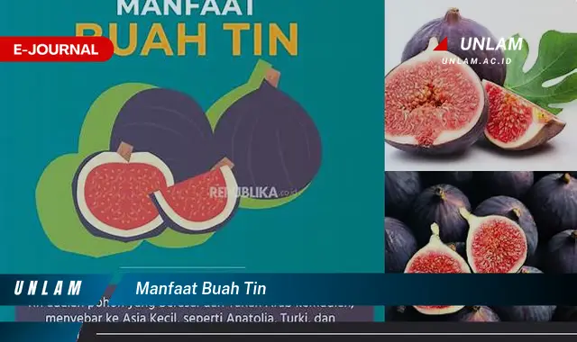 Temukan Beragam Manfaat Buah Tin yang Wajib Kamu Tahu!