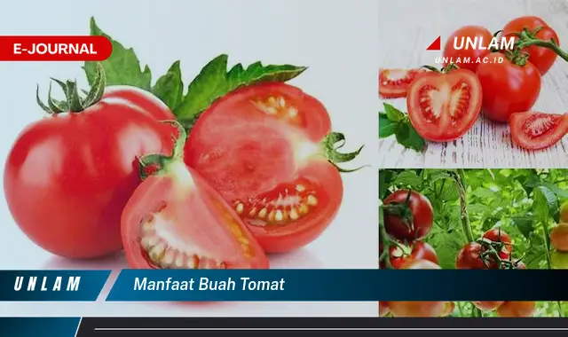 manfaat buah tomat