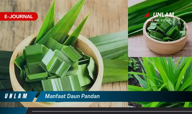 manfaat daun pandan