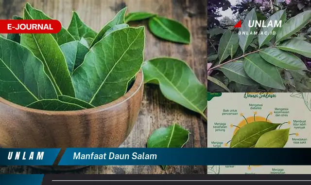 manfaat daun salam