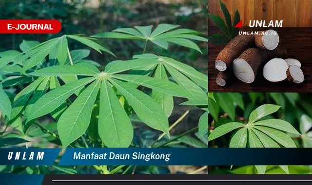 manfaat daun singkong