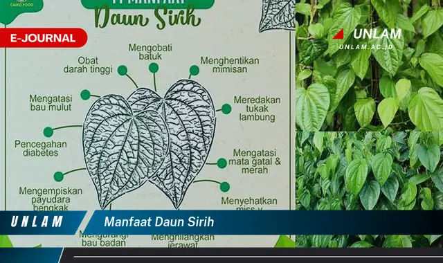 manfaat daun sirih