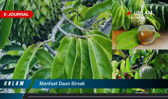 manfaat daun sirsak