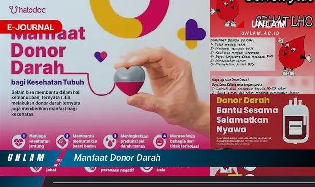 manfaat donor darah