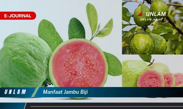 manfaat jambu biji