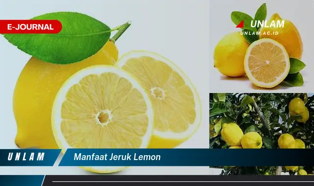 manfaat jeruk lemon