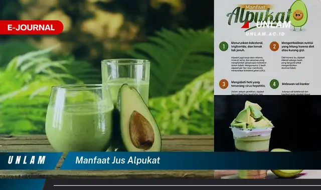 manfaat jus alpukat