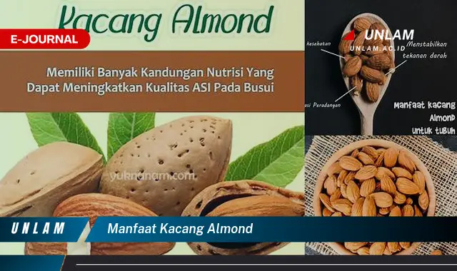 manfaat kacang almond