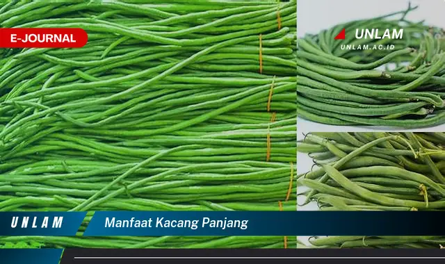 manfaat kacang panjang