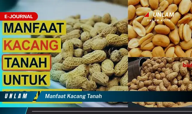 manfaat kacang tanah