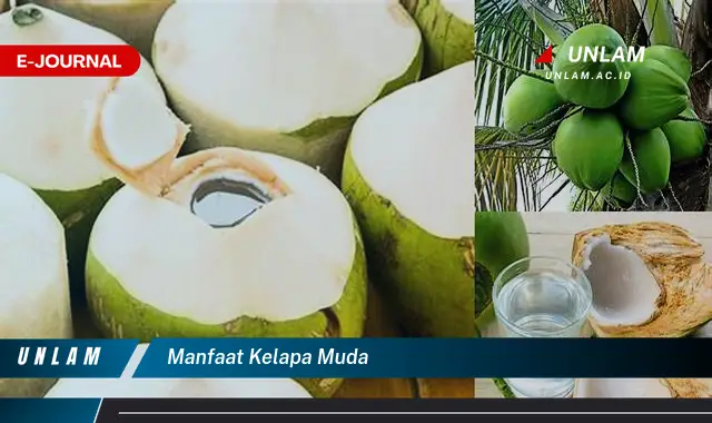 manfaat kelapa muda