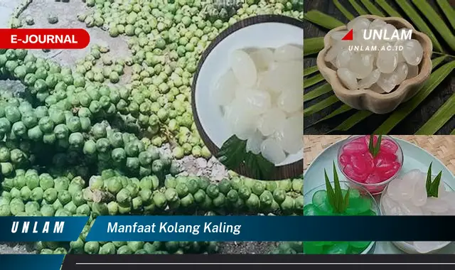 manfaat kolang kaling