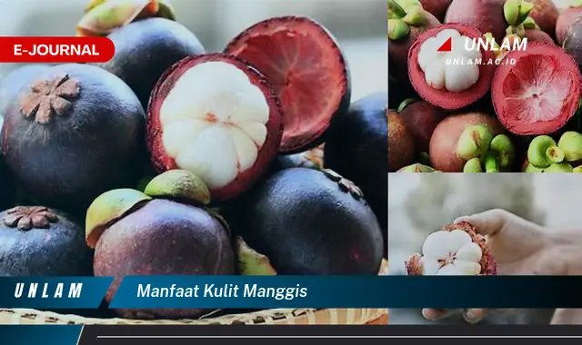 manfaat kulit manggis