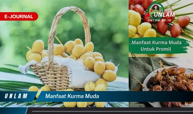 manfaat kurma muda