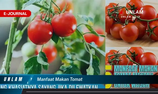 manfaat makan tomat