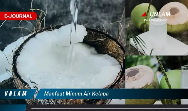 manfaat minum air kelapa