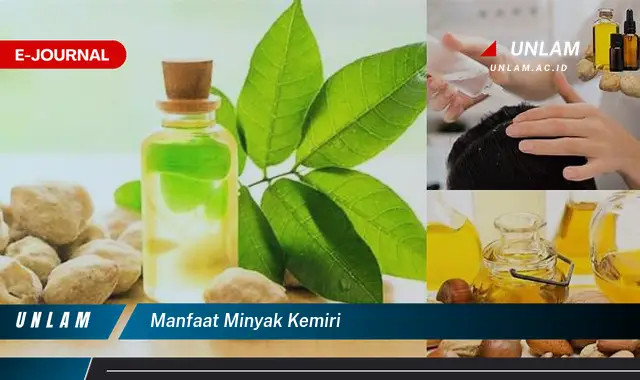 manfaat minyak kemiri