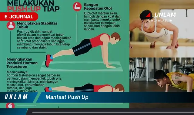 manfaat push up