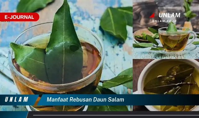 manfaat rebusan daun salam