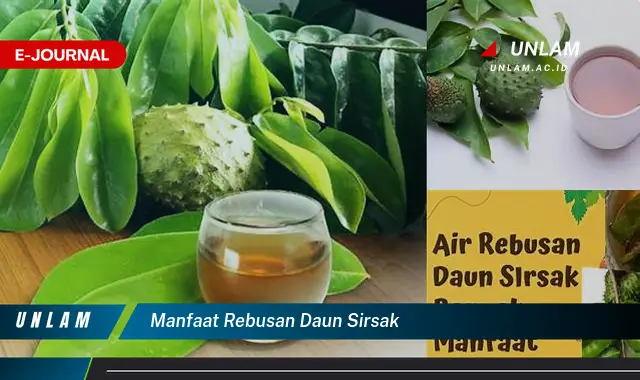 manfaat rebusan daun sirsak