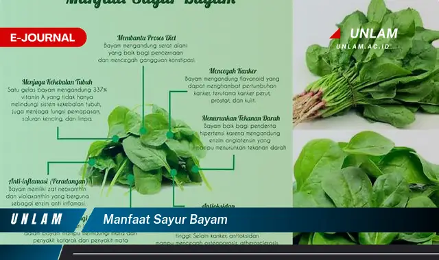 manfaat sayur bayam