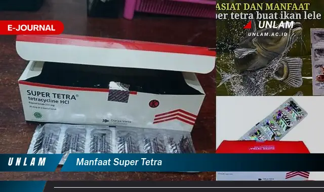 manfaat super tetra