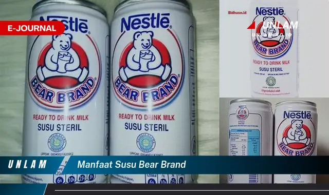 manfaat susu bear brand